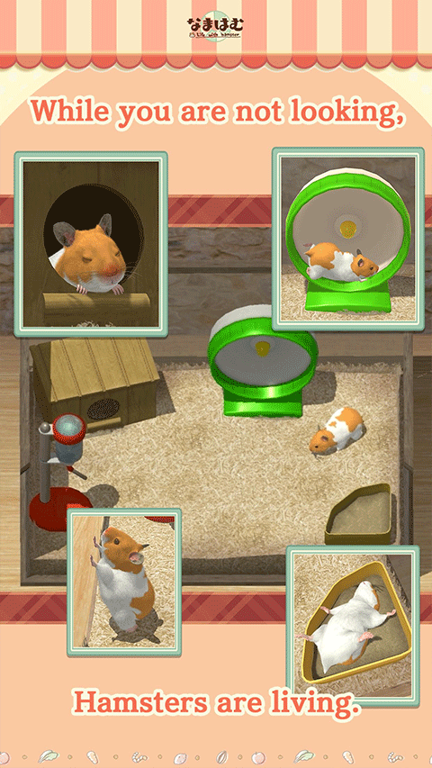 我的仓鼠截图2