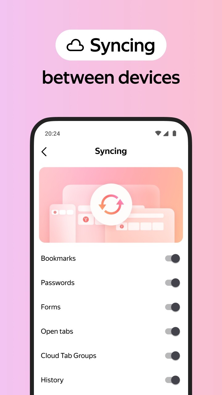 俄罗斯中文浏览器截图2