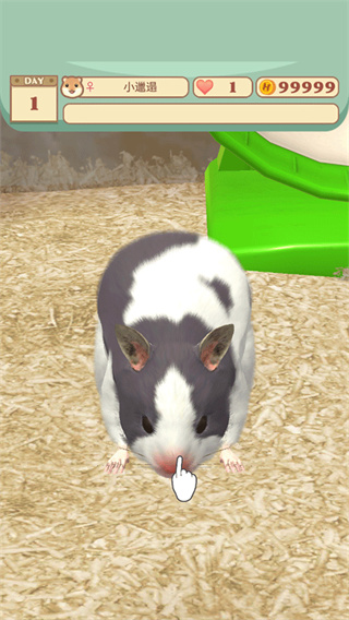 我的仓鼠