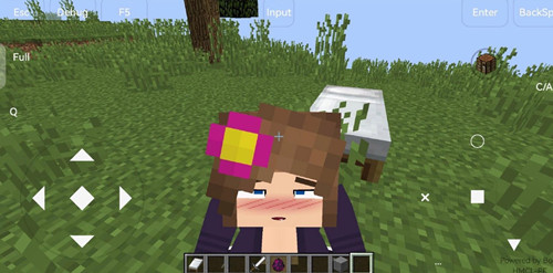 我的世界珍妮模组