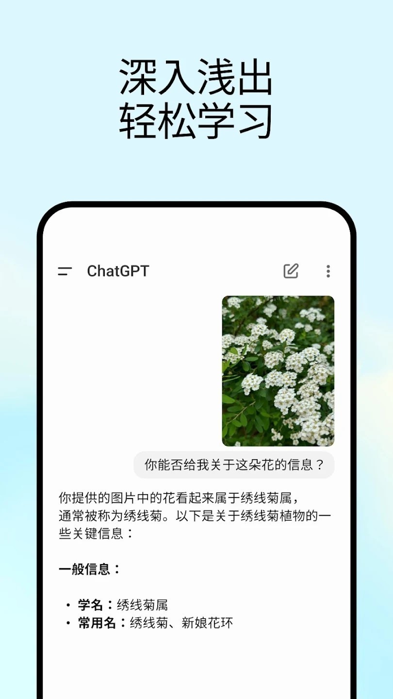 chatgpt3.5截图3
