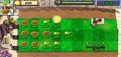 植物大战僵尸D AH版