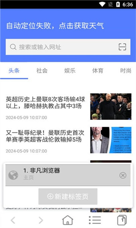 非凡浏览器截图2