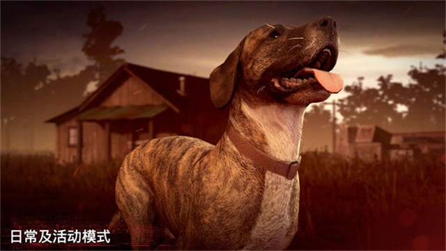 勇闯死人谷2截图1