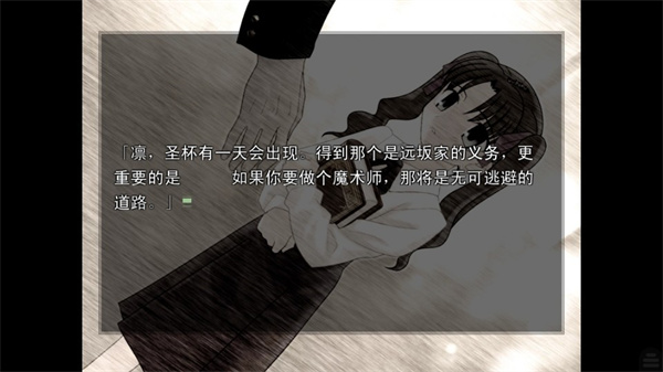 Fate stay night中文版