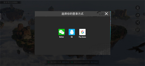 Pubgmobilelite轻量版