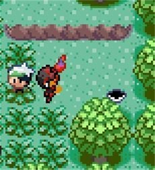 口袋妖怪格查尔