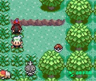 口袋妖怪格查尔