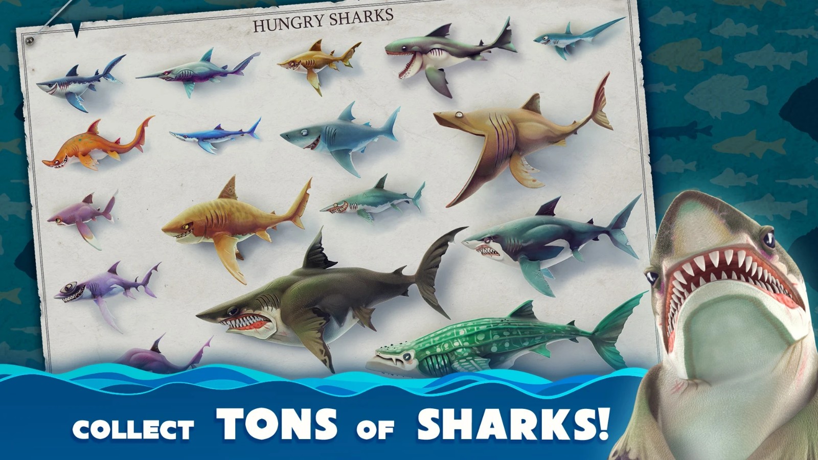 hungrysharkworld国际版截图4