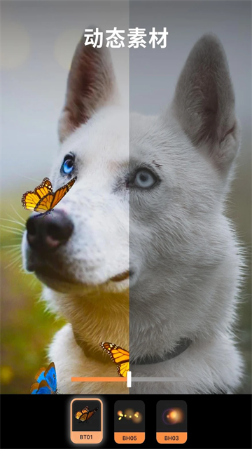 pixaloop小狐狸截图3