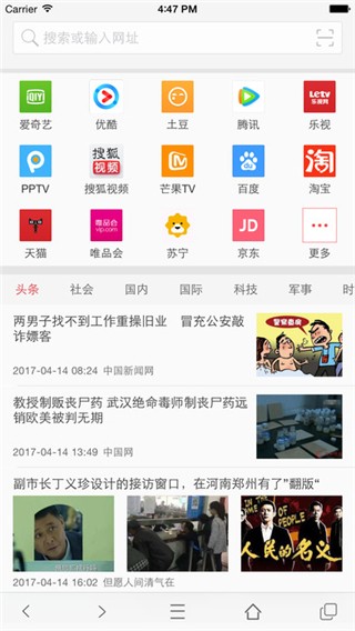 vip浏览器截图3