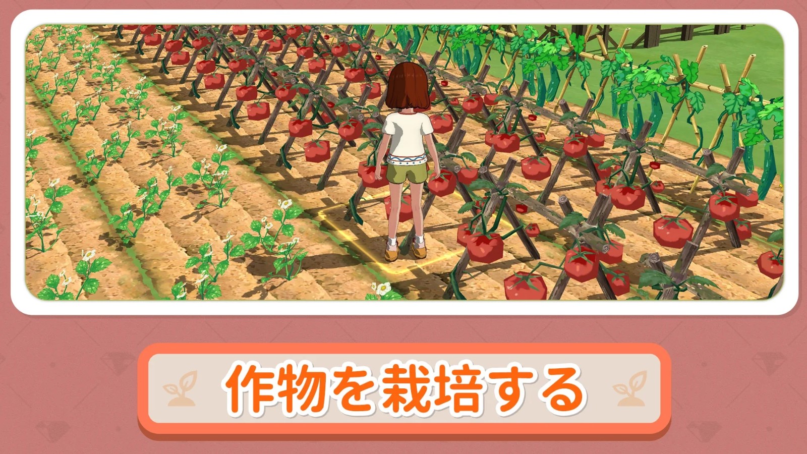 小森生活日服截图3