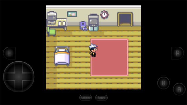 口袋妖怪红宝石中文版截图2