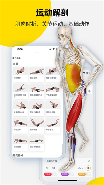 3dbody解剖截图1