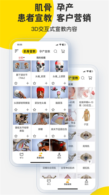 3dbody解剖截图3