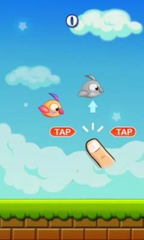 疯狂的小鸟截图1