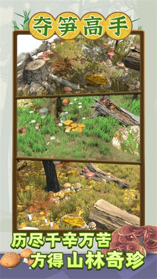 夺笋高手最新版截图2