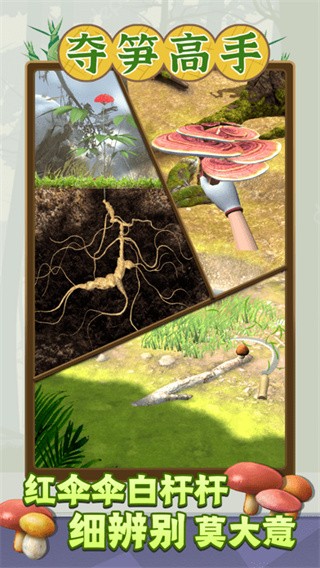 夺笋高手最新版截图3