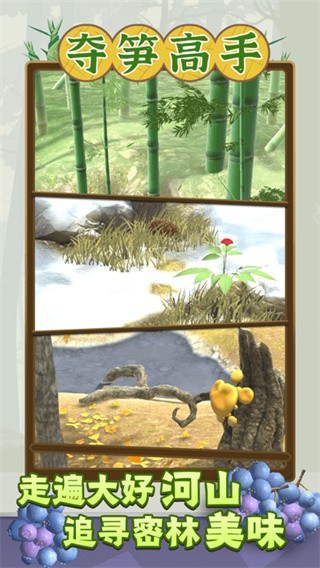 夺笋高手最新版截图4