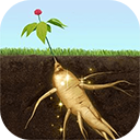 夺笋高手最新版