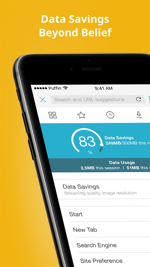 Puffin浏览器旧版本截图2