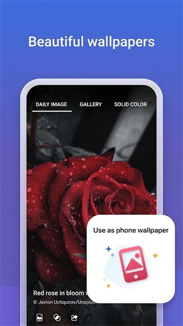 Bing必应手机版截图3