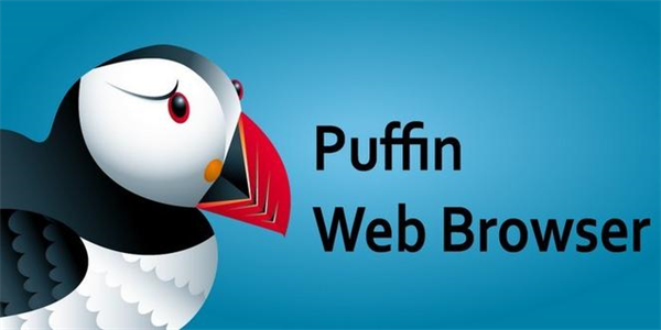 puffin浏览器最新版本大全