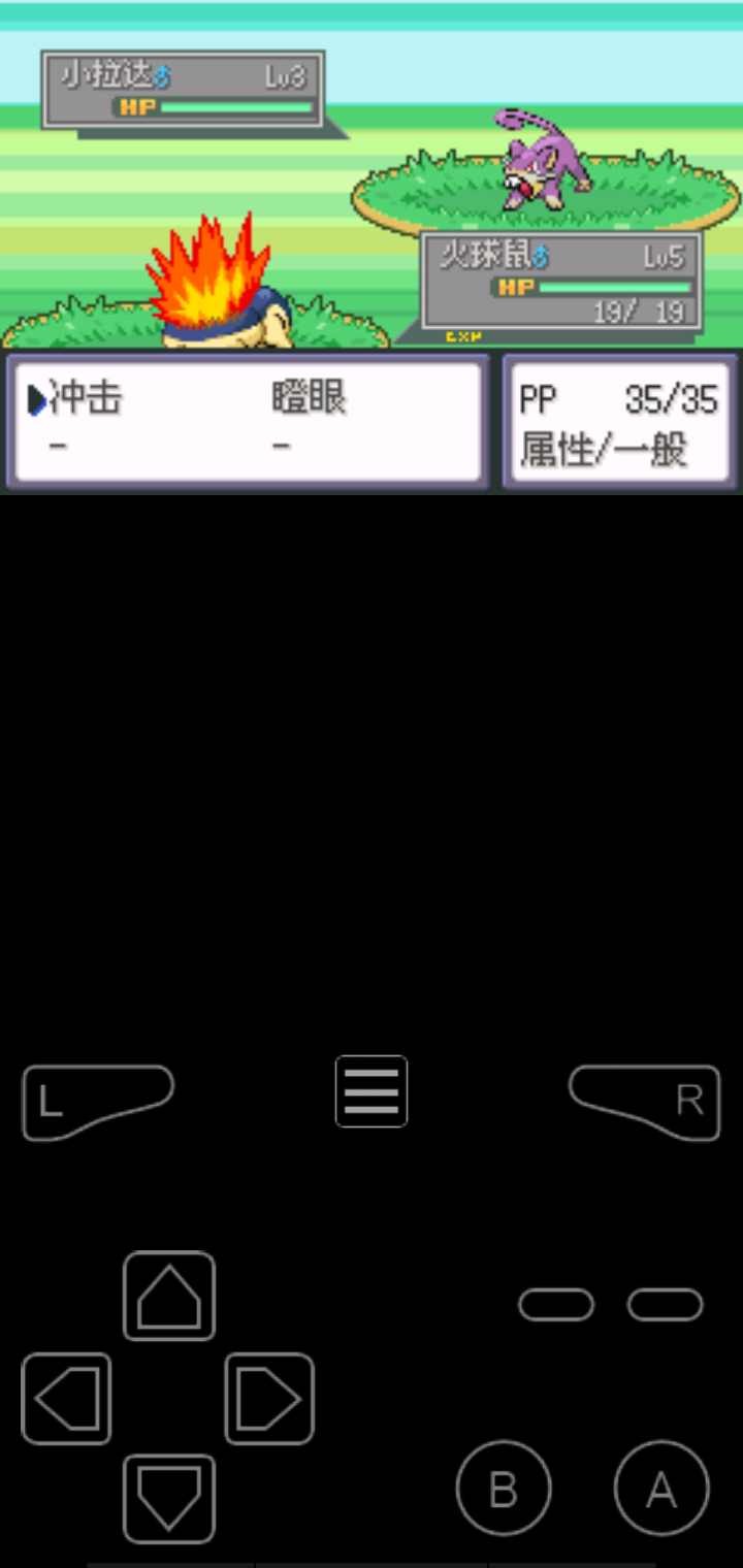 口袋妖怪液体水晶汉化版截图2