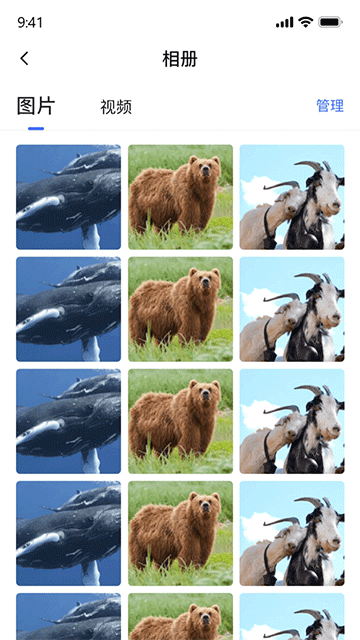 密盒虚拟机截图3