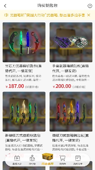 csgo掌上助手