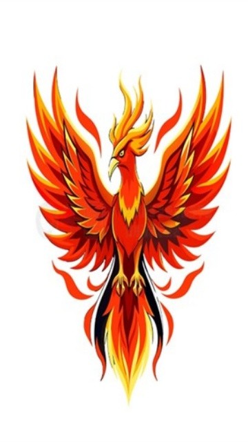 火焰鸟直装截图2