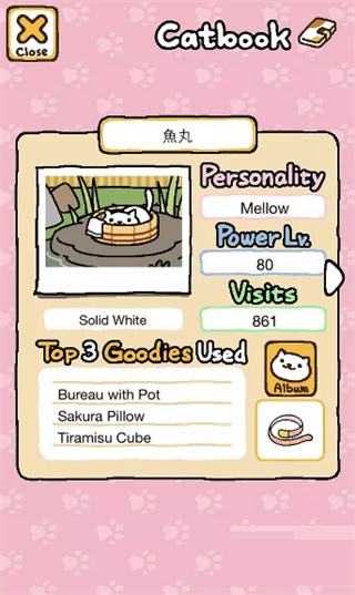 猫咪后院2最新版