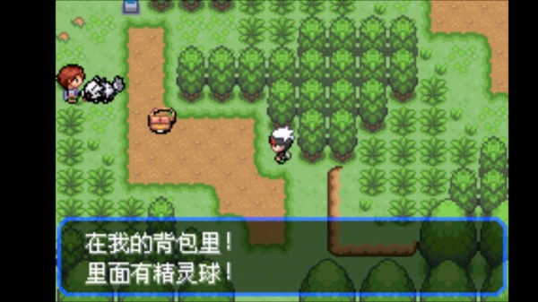 口袋妖怪究极绿宝石