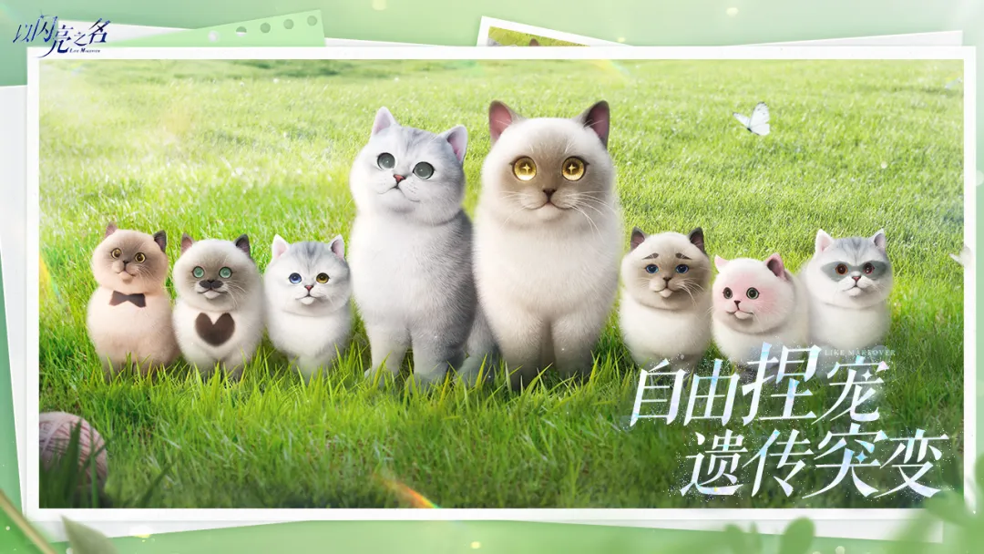 以闪亮之名新马服截图1