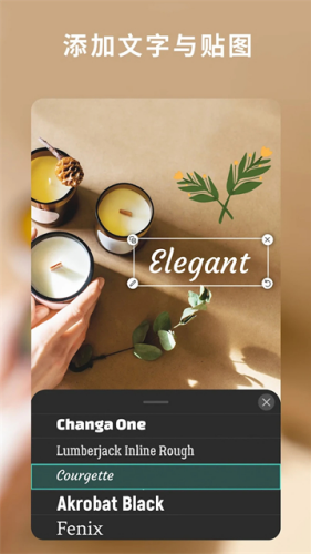 相片大师365截图3