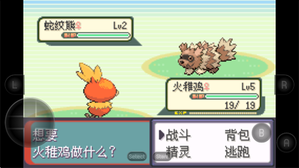 口袋妖怪究极绿宝石小智版