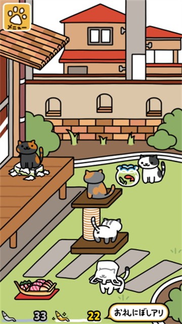 猫咪后院2最新版截图3