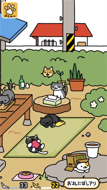 猫咪后院2截图4