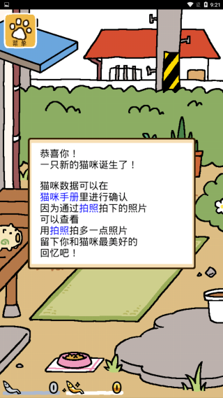 猫咪后院2中文版