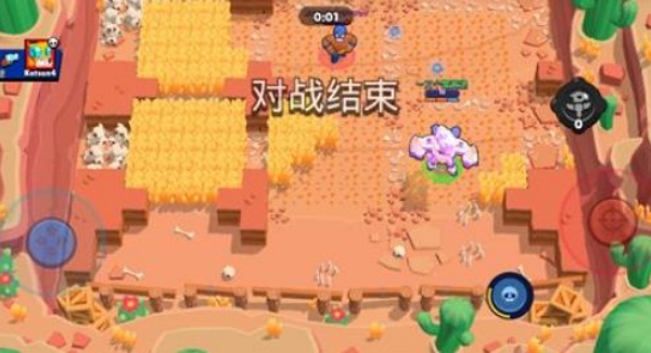 荒野乱斗彩虹服