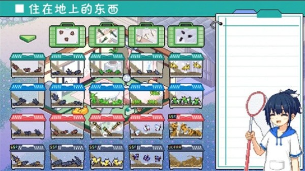 寻找夏日的宝物截图3