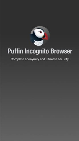 puffin浏览器国际版