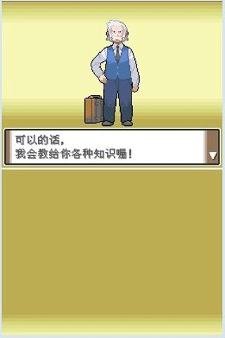 口袋妖怪白金汉化版截图4