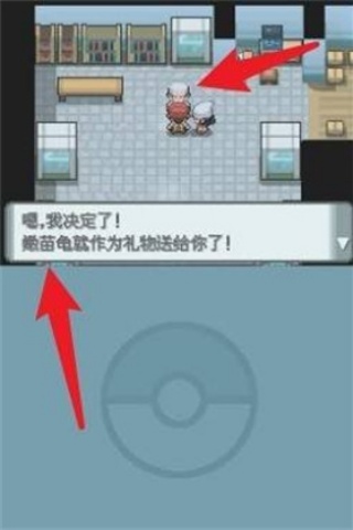 口袋妖怪白金汉化版