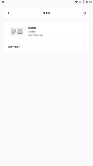 迷你兔子