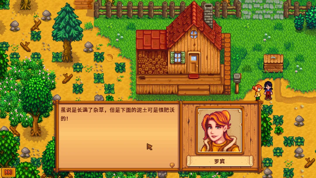 星露谷物语美化版截图2