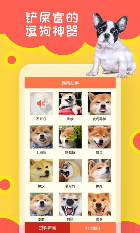 狗狗助手截图1