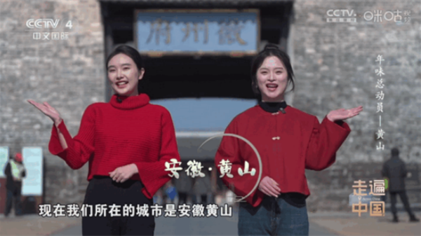 悠悠电视TV版