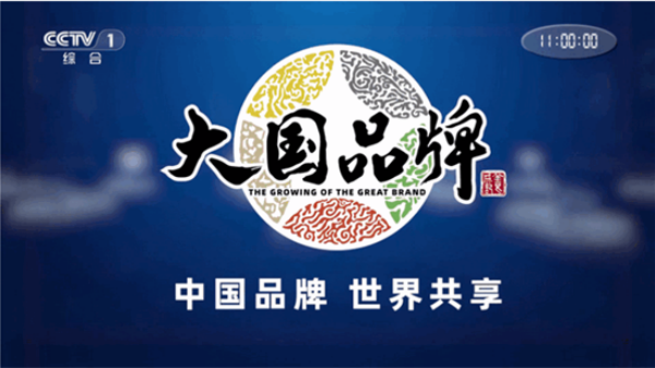 悠悠电视TV版