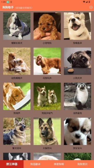 狗狗助手